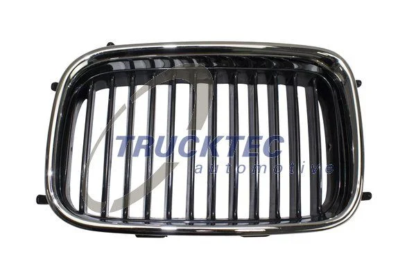 Radiator Grille TRUCKTEC AUTOMOTIVE 08.62.222