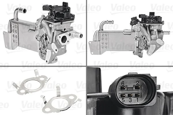 EGR Module VALEO 700436