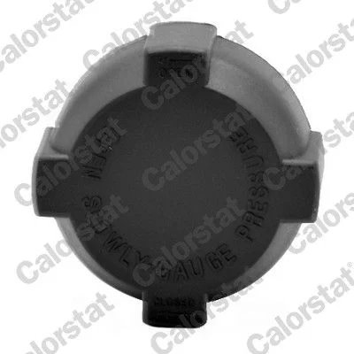 Cap, coolant tank CALORSTAT by Vernet RC0001