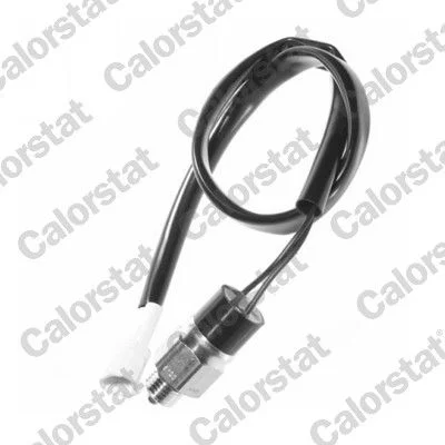 Interruptor, luz de marcha-atrás CALORSTAT by Vernet RS5556