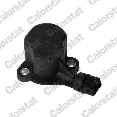 Interruptor, luz de marcha-atrás CALORSTAT by Vernet RS5558
