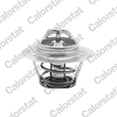 Thermostat, coolant CALORSTAT by Vernet TH5955.88J