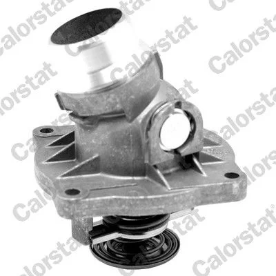 Thermostat, coolant CALORSTAT by Vernet TH7179.88J