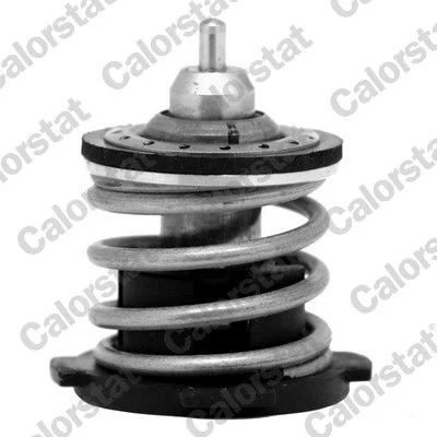 Thermostat, coolant CALORSTAT by Vernet TH7274.87
