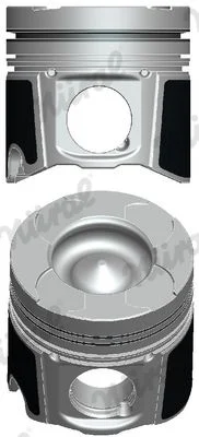 Pistão NÜRAL 87-137500-30