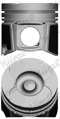Pistão NÜRAL 87-137507-10