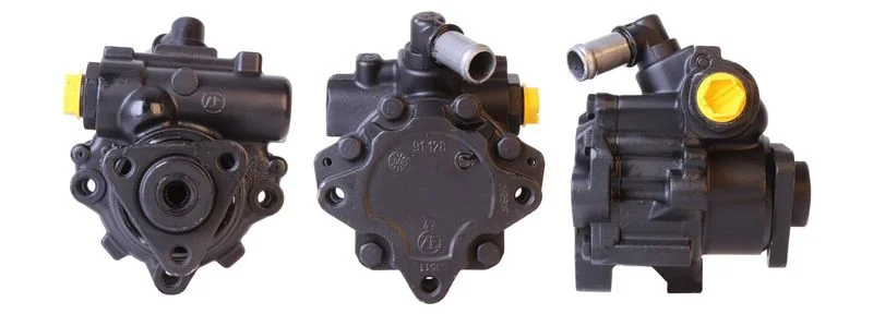 Hydraulic Pump, steering ELSTOCK 15-0776