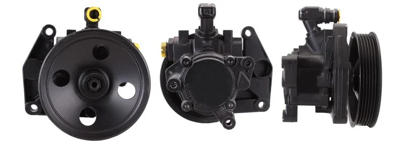 Hydraulic Pump, steering ELSTOCK 15-0846