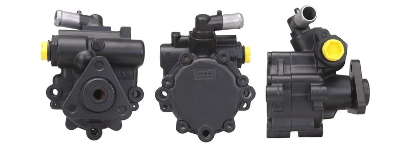 Hydraulic Pump, steering ELSTOCK 15-1524