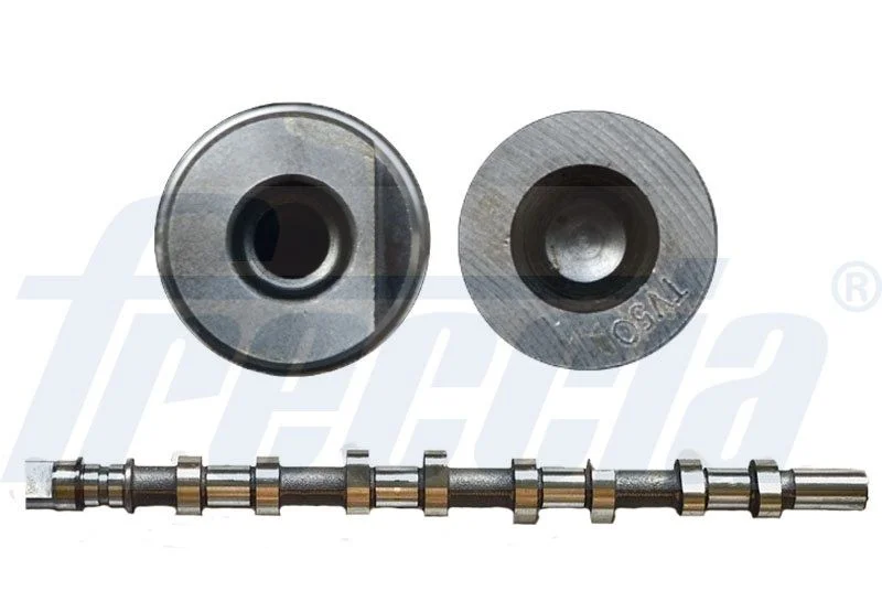 Camshaft FRECCIA CM05-2165
