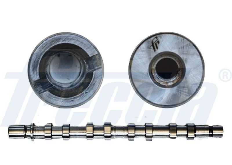 Cambota FRECCIA CM05-2184