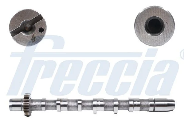 Cambota FRECCIA CM05-2189