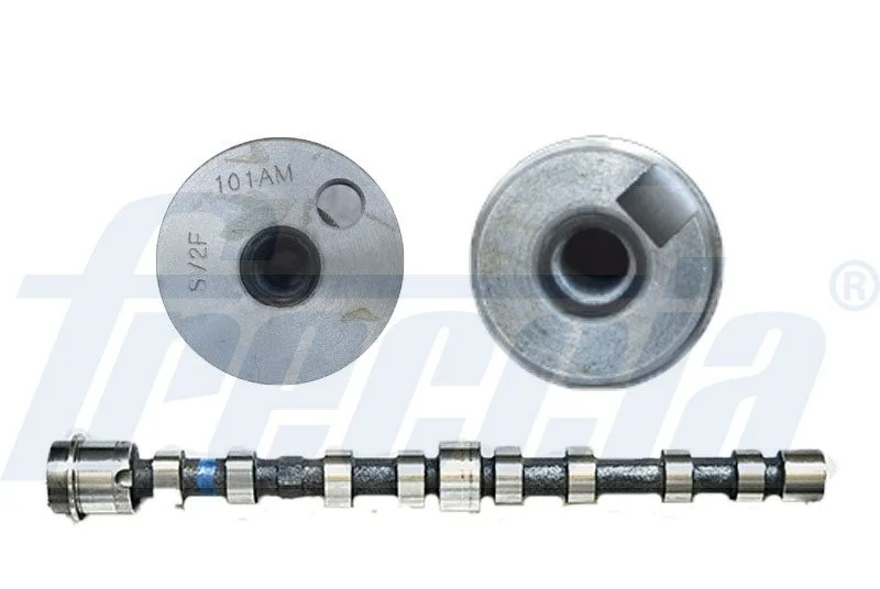Cambota FRECCIA CM05-2240