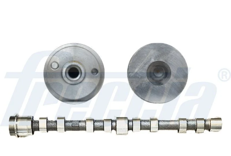 Cambota FRECCIA CM05-2273