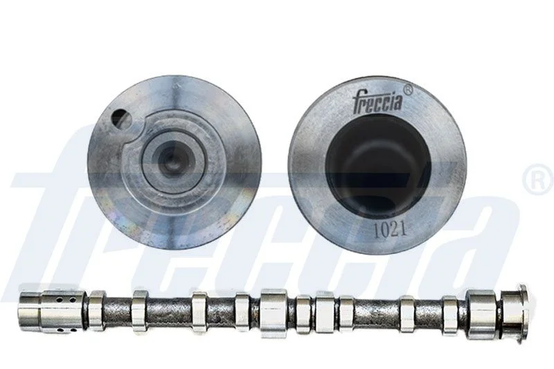 Cambota FRECCIA CM05-2274