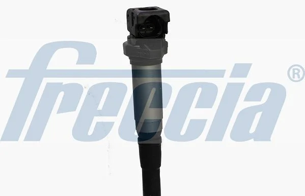 689 FRECCIA IC15-1110