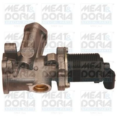 EGR Valve MEAT & DORIA 88043R