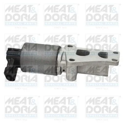 EGR Valve MEAT & DORIA 88046