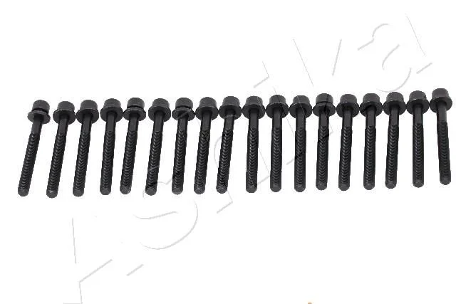Cylinder Head Bolt Set ASHIKA 115-01-102