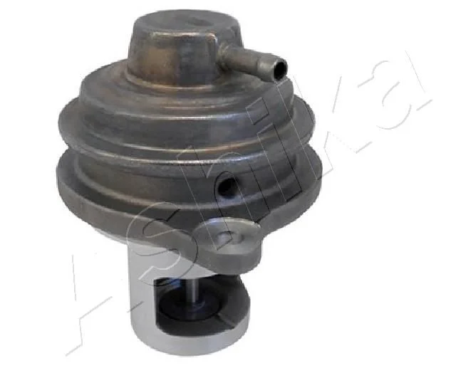 Válvula EGR ASHIKA 150-00-0502