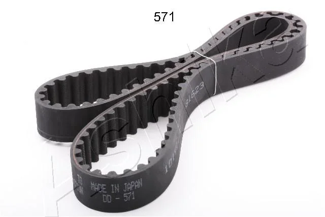 Correia Dentada ASHIKA 40-05-571