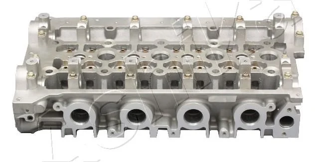 Cylinder Head ASHIKA NS017S