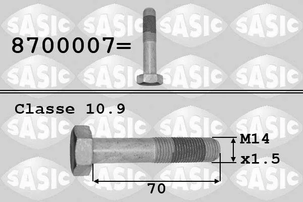 Parafuso da polia SASIC 8700007