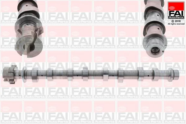 Camshaft FAI AutoParts C351