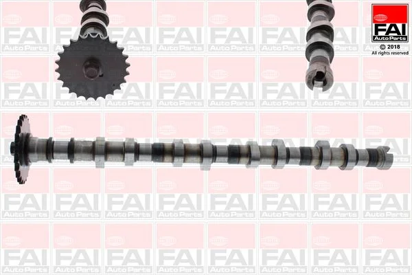 Camshaft FAI AutoParts C387
