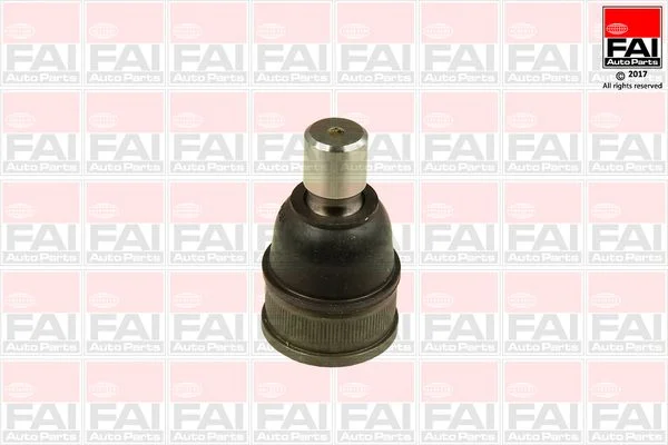 Šarnyras / girgždukas FAI AutoParts SS8853