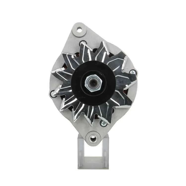 Alternador BV PSH 135.007.070.010