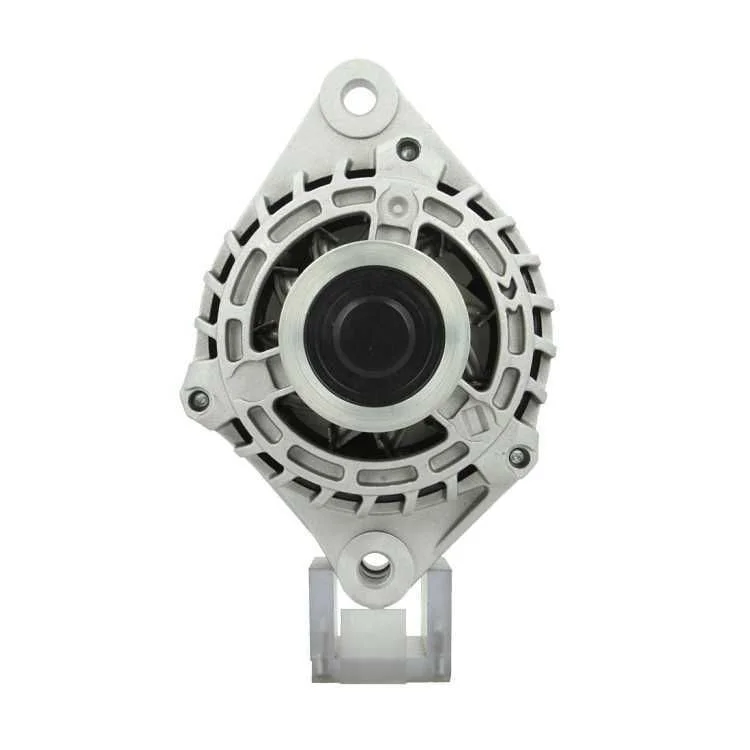 Alternador BV PSH 135.534.140.050