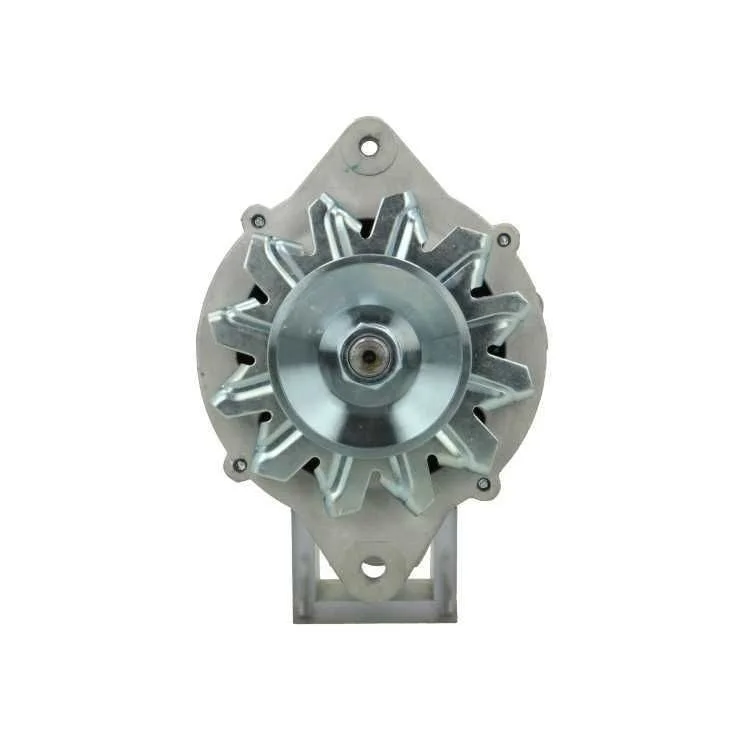 Alternador BV PSH 135.807.070.080