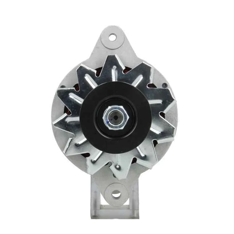 Alternador BV PSH 165.003.050.080