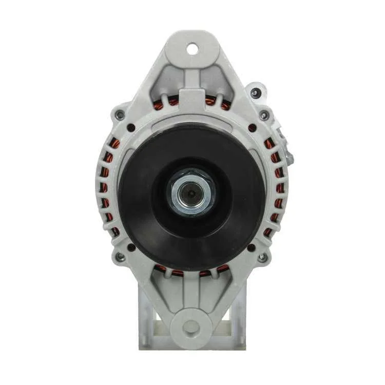 Alternador BV PSH 165.011.060.080