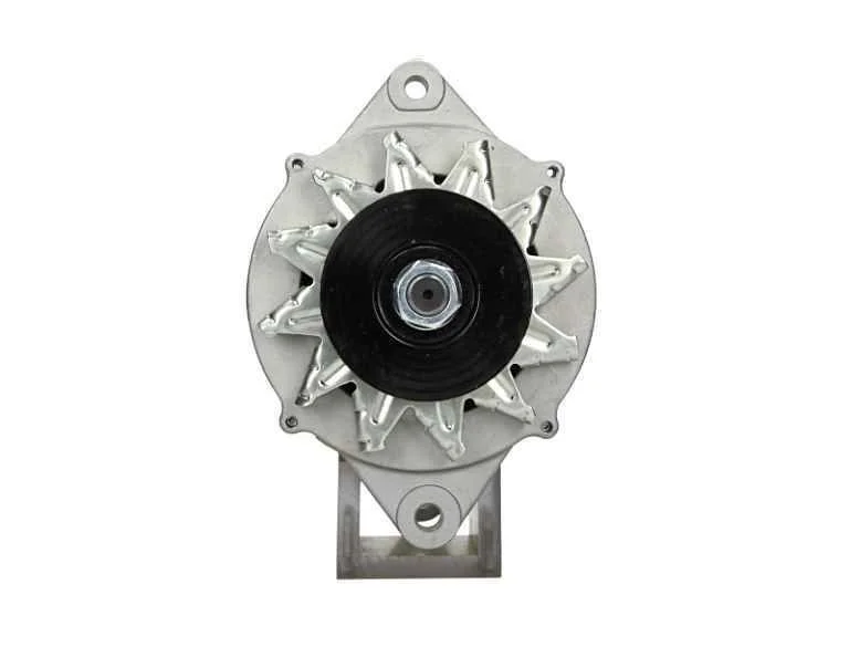 Alternador BV PSH 165.810.070.080