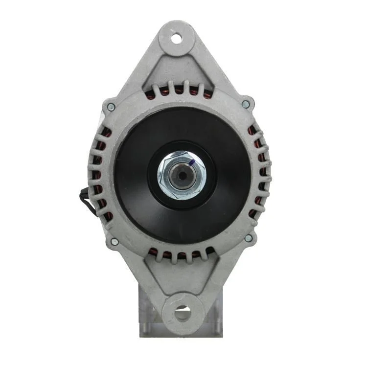 Alternador BV PSH 165.829.060.080