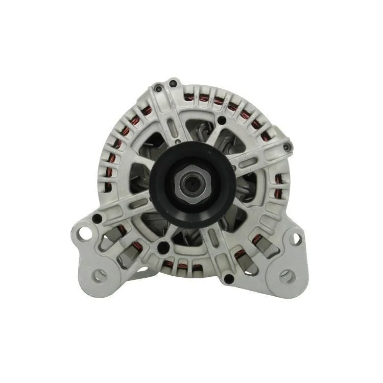 Alternador BV PSH 305.519.110.000