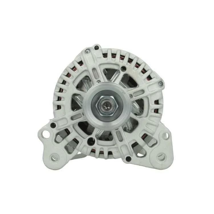 Alternador BV PSH 305.563.110.000