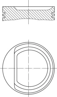 Pistão MAHLE 010 29 02