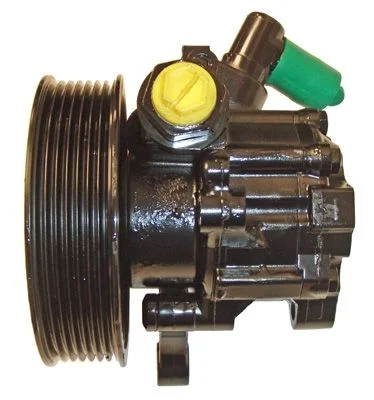 Hydraulic Pump, steering LIZARTE 04.13.0081-1