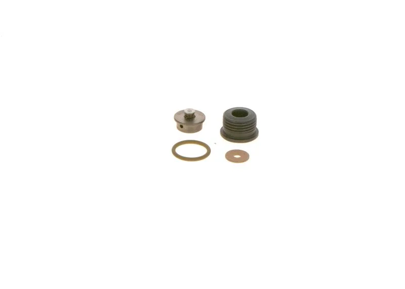 Kit de Reparo, sistema common rail BOSCH F00N202418