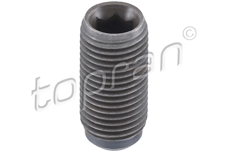 Bolt, rocker arm shaft HAN 115 129