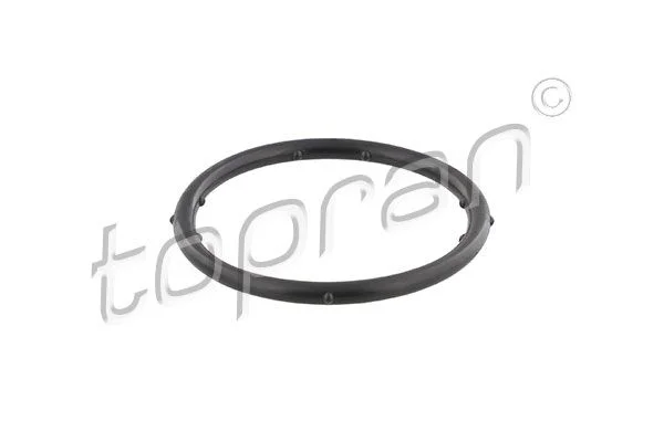 Gasket, coolant flange TOPRAN 100 721