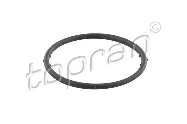 Gasket, coolant flange TOPRAN 100 722