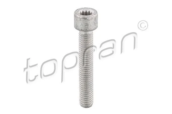 Parafuso, flange do veio de transmissão TOPRAN 104 306