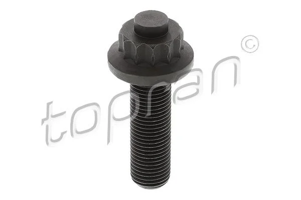Parafuso da polia TOPRAN 108 642