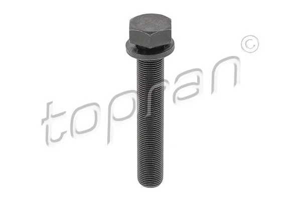Parafuso da polia TOPRAN 109 336