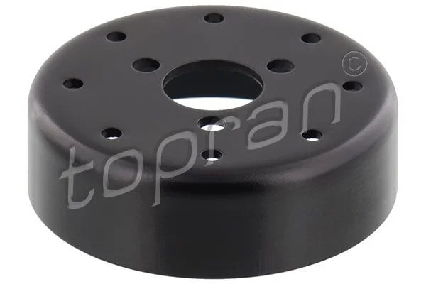 Belt Pulley, radiator fan TOPRAN 113 790