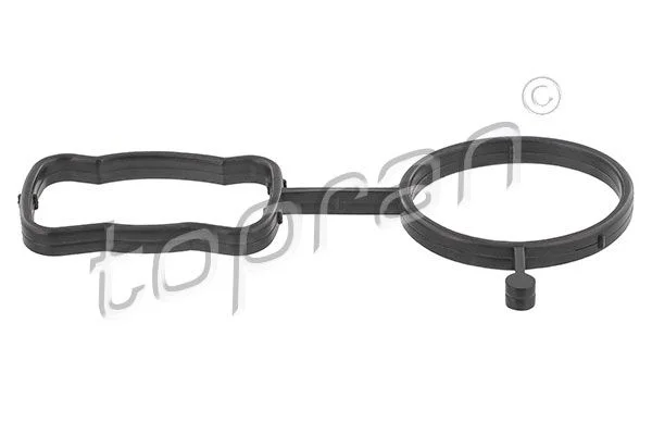 Gasket, thermostat housing TOPRAN 117 897